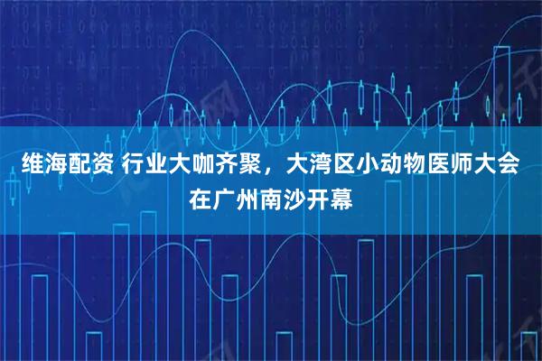 维海配资 行业大咖齐聚，大湾区小动物医师大会在广州南沙开幕