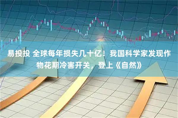 易投投 全球每年损失几十亿！我国科学家发现作物花期冷害开关，登上《自然》